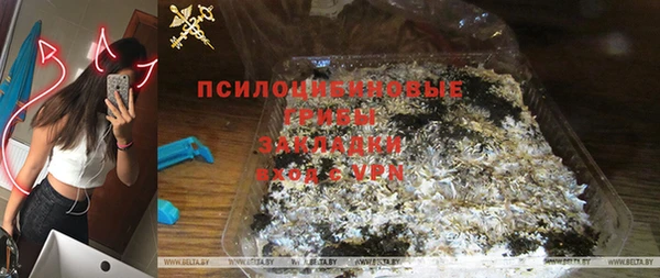 PSILOCYBIN Арсеньев